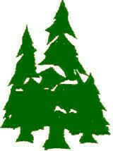 Evergreen Security logo